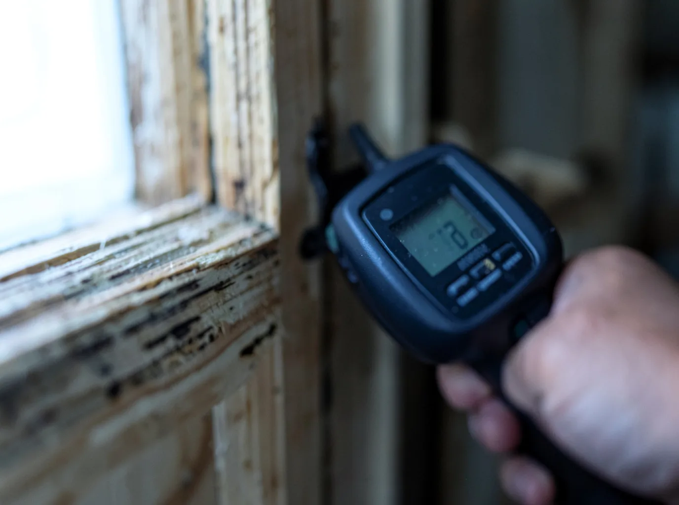 Moisture Inspection And Documentation in Brownville, NY